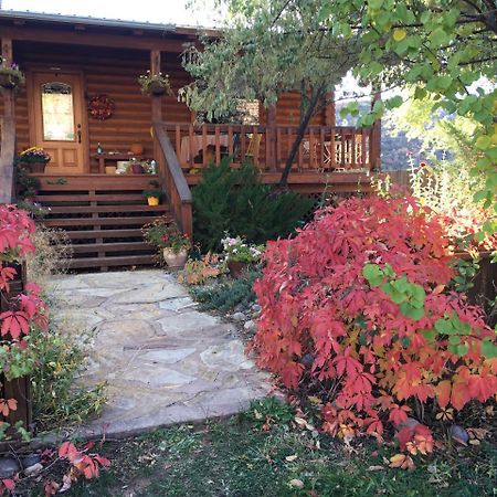 Canyon Wren Bed And Breakfast Bluff Bagian luar foto