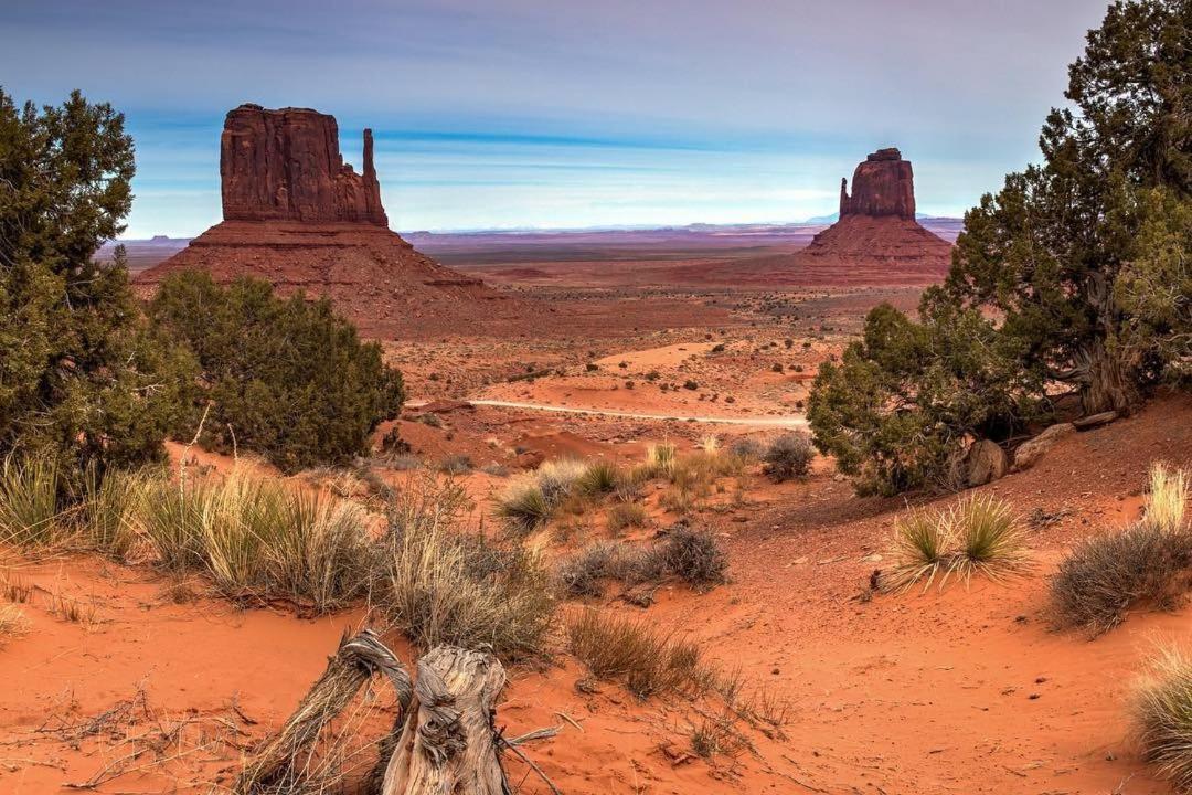 Canyon Wren Bed And Breakfast Bluff Bagian luar foto