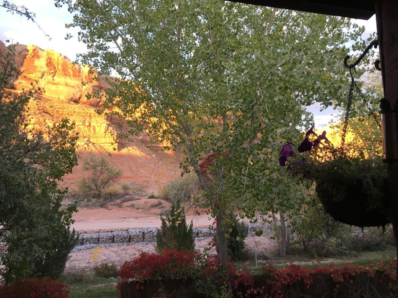 Canyon Wren Bed And Breakfast Bluff Bagian luar foto