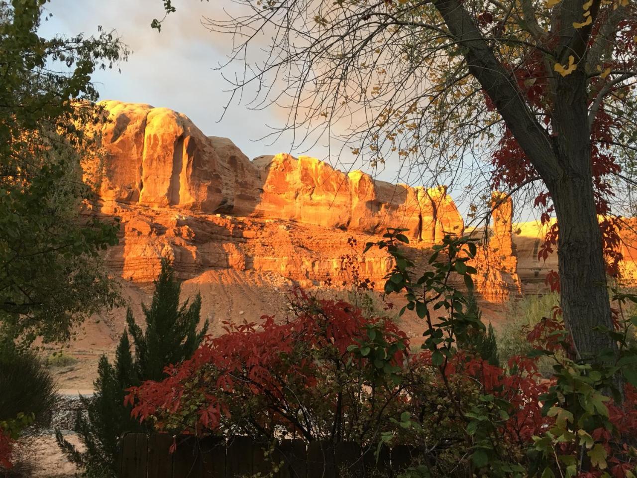 Canyon Wren Bed And Breakfast Bluff Bagian luar foto