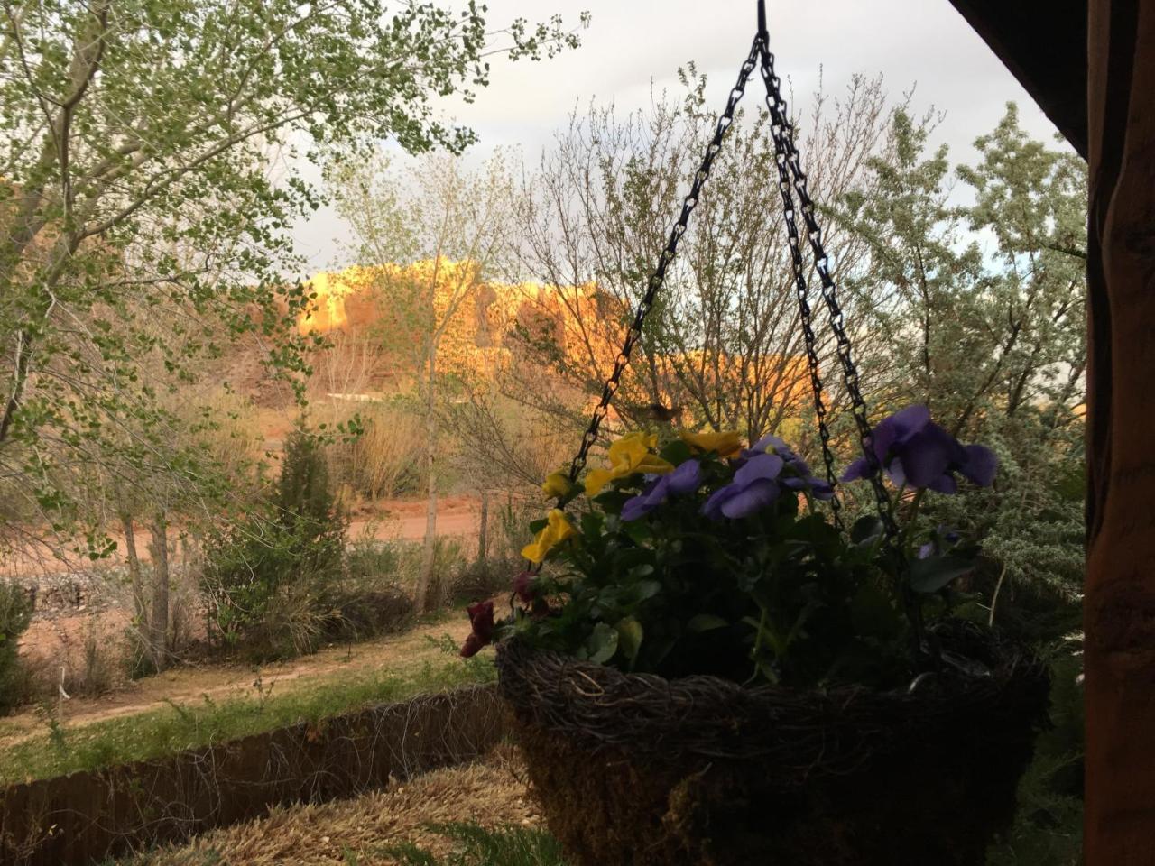 Canyon Wren Bed And Breakfast Bluff Bagian luar foto